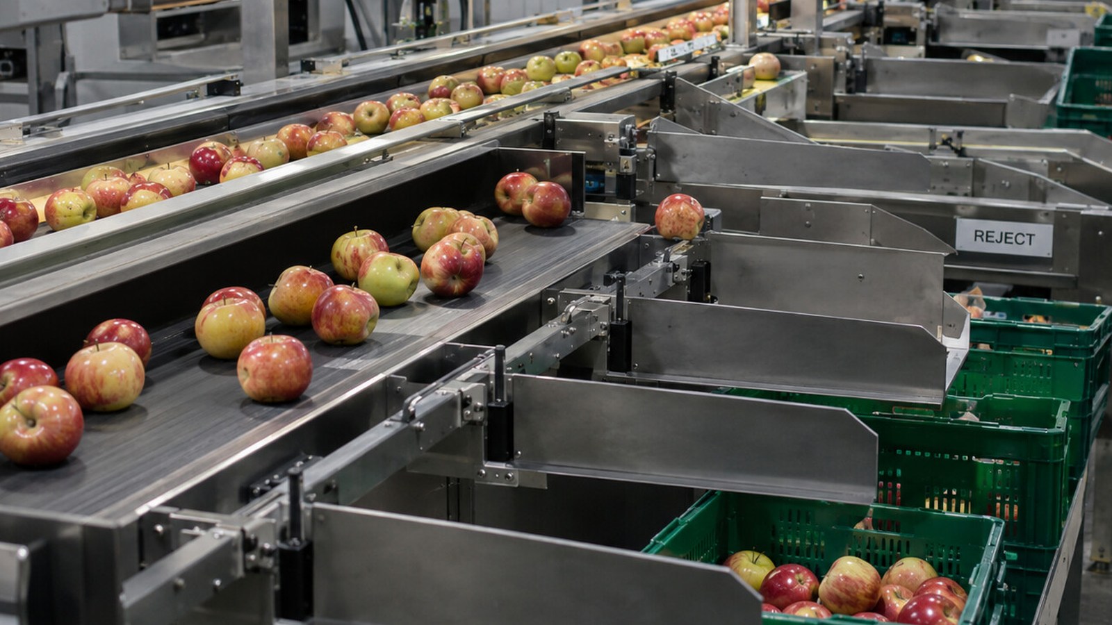 Ligne de tri agroalimentaire